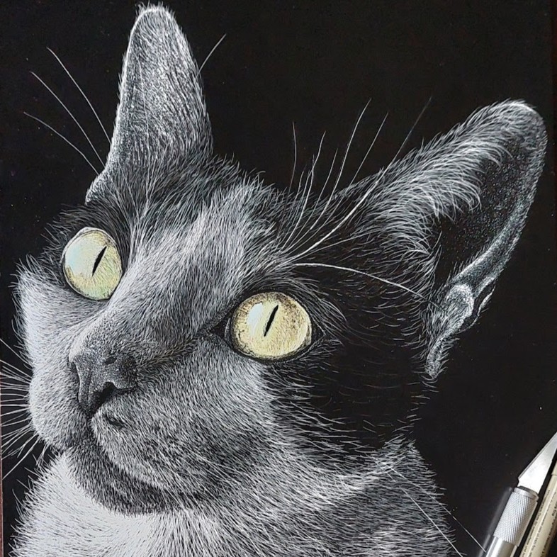 art gallery artist pet realist portrait scratchboard bestfriendforever furry paint print popart artwork realistportrait blackandwhite bff gift cat cats eyes