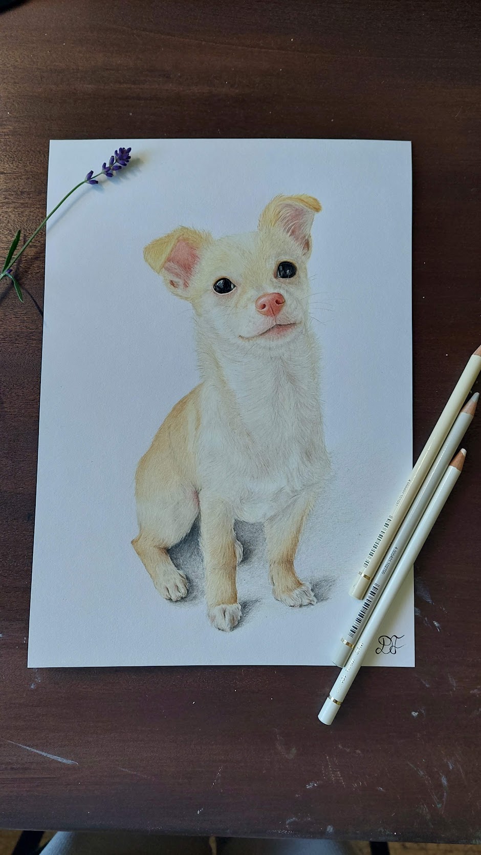 dog dogs realistdrawingdog art gallery artist pet realist portrait coloredpencils bestfriendforever furry paint print popart artwork realistportrait colourspencils bff gift