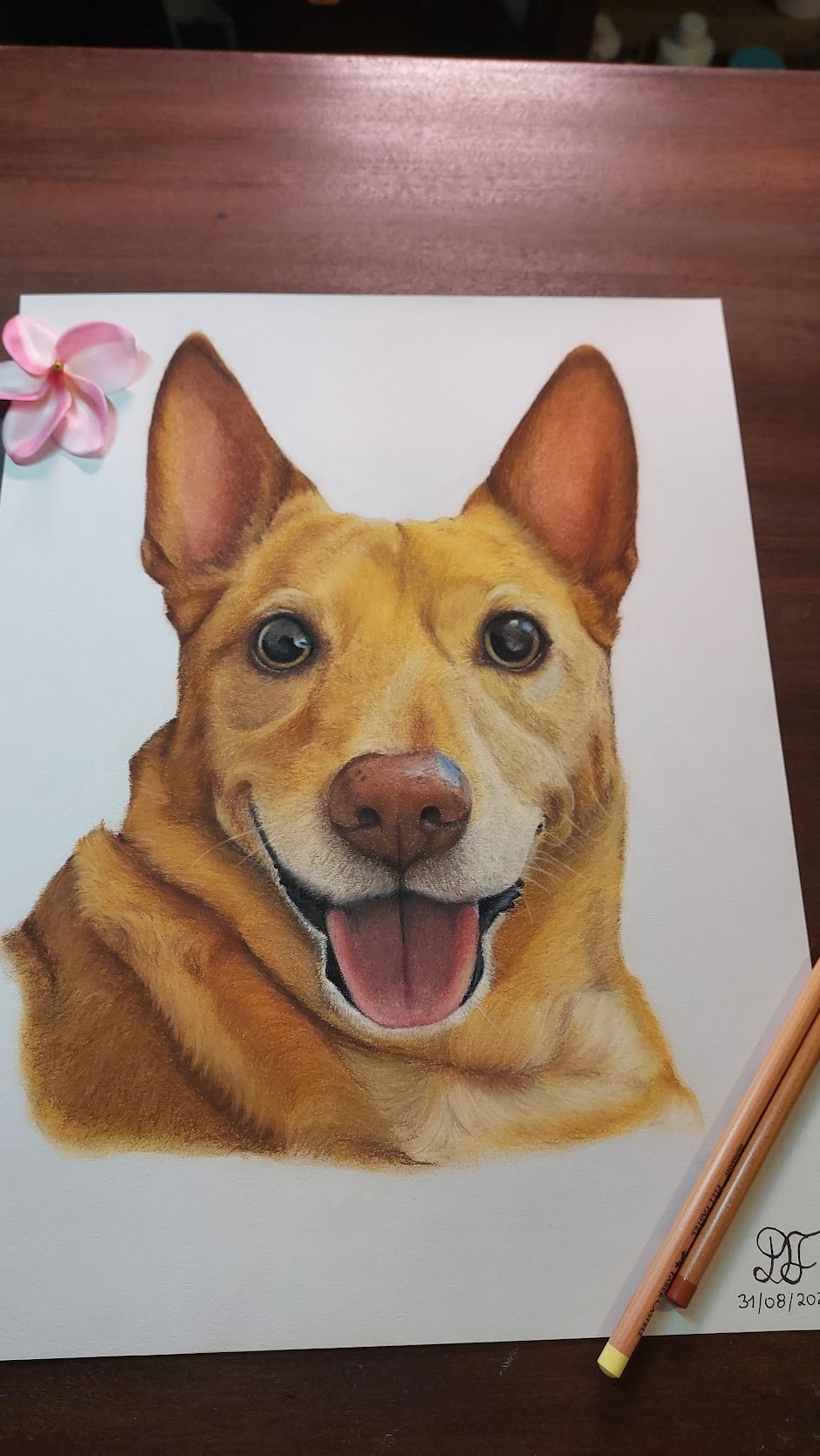 art gallery artist pet realist portrait softpastelpencils bestfriendforever furry paint print popart artwork realistportrait softpastel bff gift