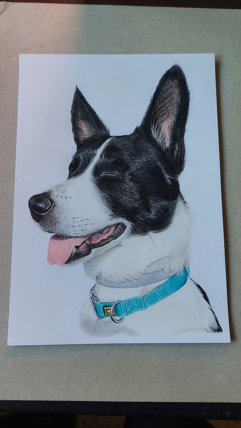 dog dogs realistdrawingdog art gallery artist pet realist portrait coloredpencils bestfriendforever furry paint print popart artwork realistportrait colourspencils bff gift
