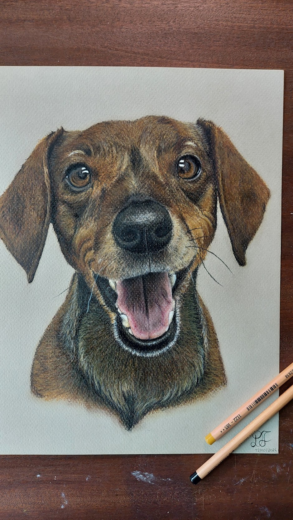 art gallery artist pet realist portrait softpastelpencils bestfriendforever furry paint print popart artwork realistportrait softpastel Dachshund teckel bff gift