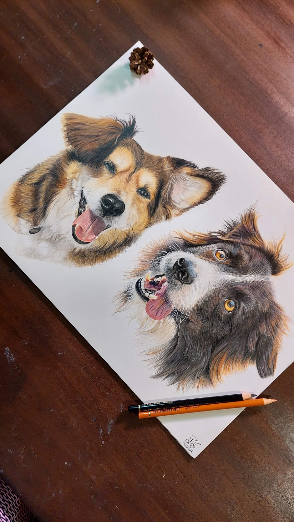 dog dogs realistdrawingdog art gallery artist pet realist portrait coloredpencils bestfriendforever furry paint print popart artwork realistportrait colourspencils bff gift