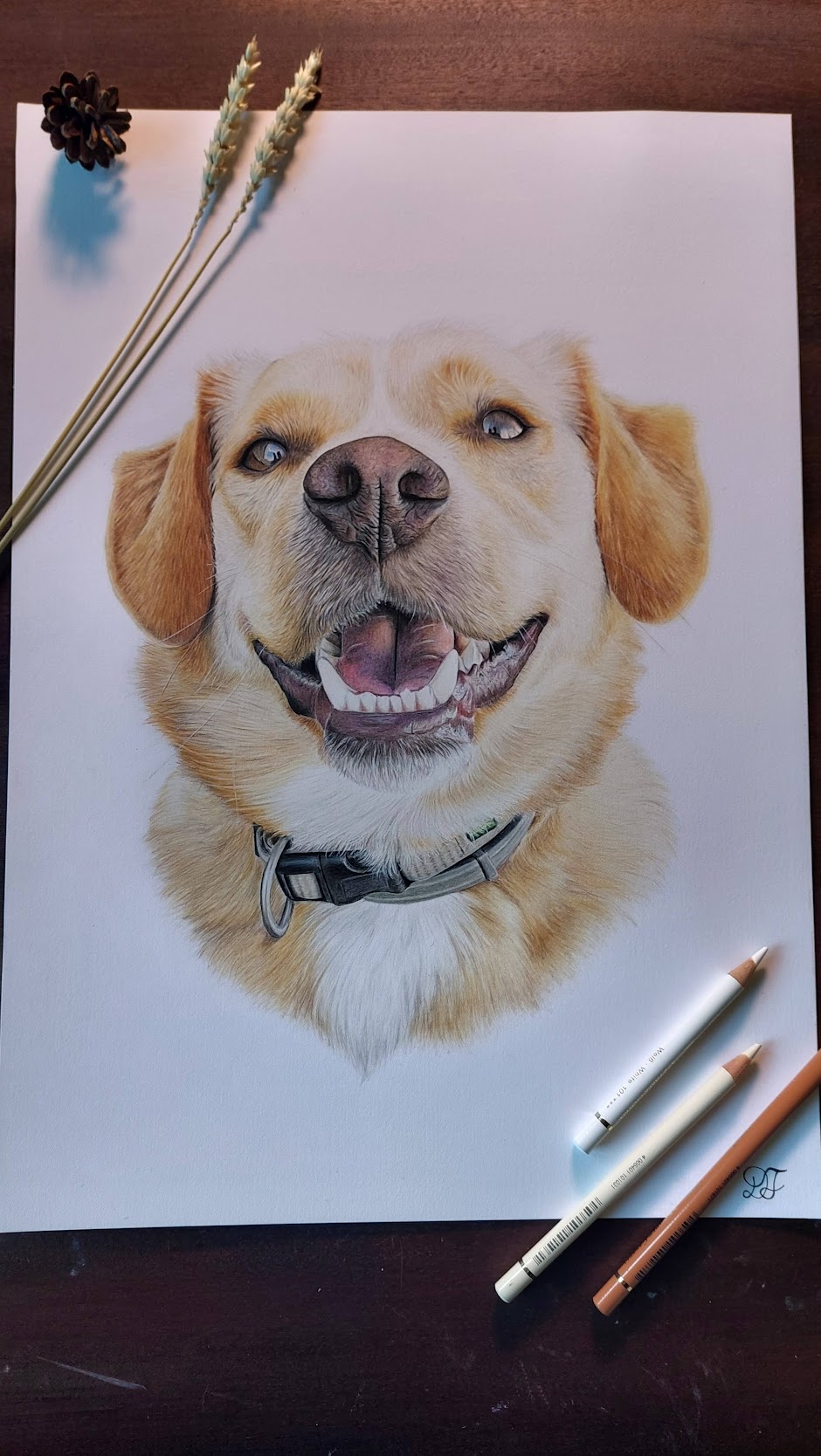 dog dogs realistdrawingdog art gallery artist pet realist portrait coloredpencils bestfriendforever furry paint print popart artwork realistportrait colourspencils bff gift