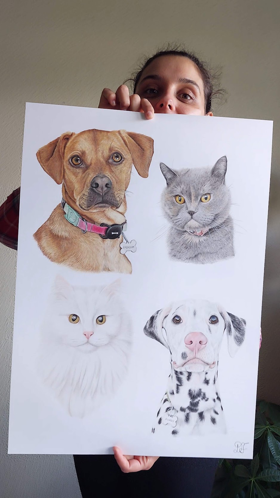 dog dogs realistdrawingdog art gallery artist pet realist portrait coloredpencils bestfriendforever furry paint print popart artwork realistportrait colourspencils bff gift