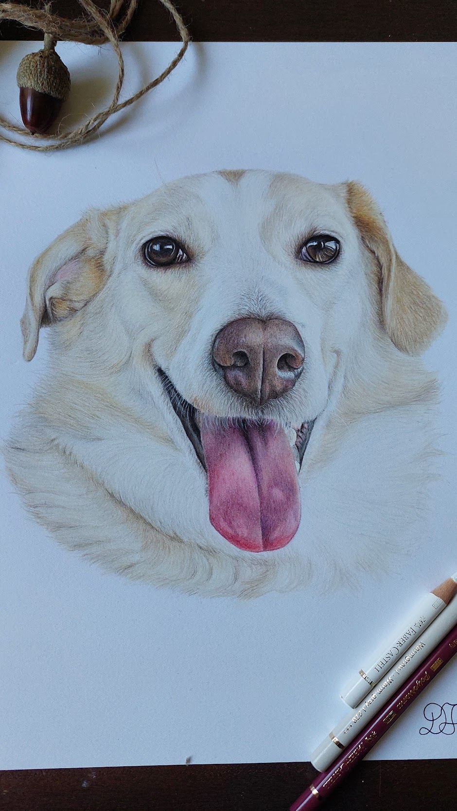 dog dogs realistdrawingdog art gallery artist pet realist portrait coloredpencils bestfriendforever furry paint print popart artwork realistportrait colourspencils bff gift