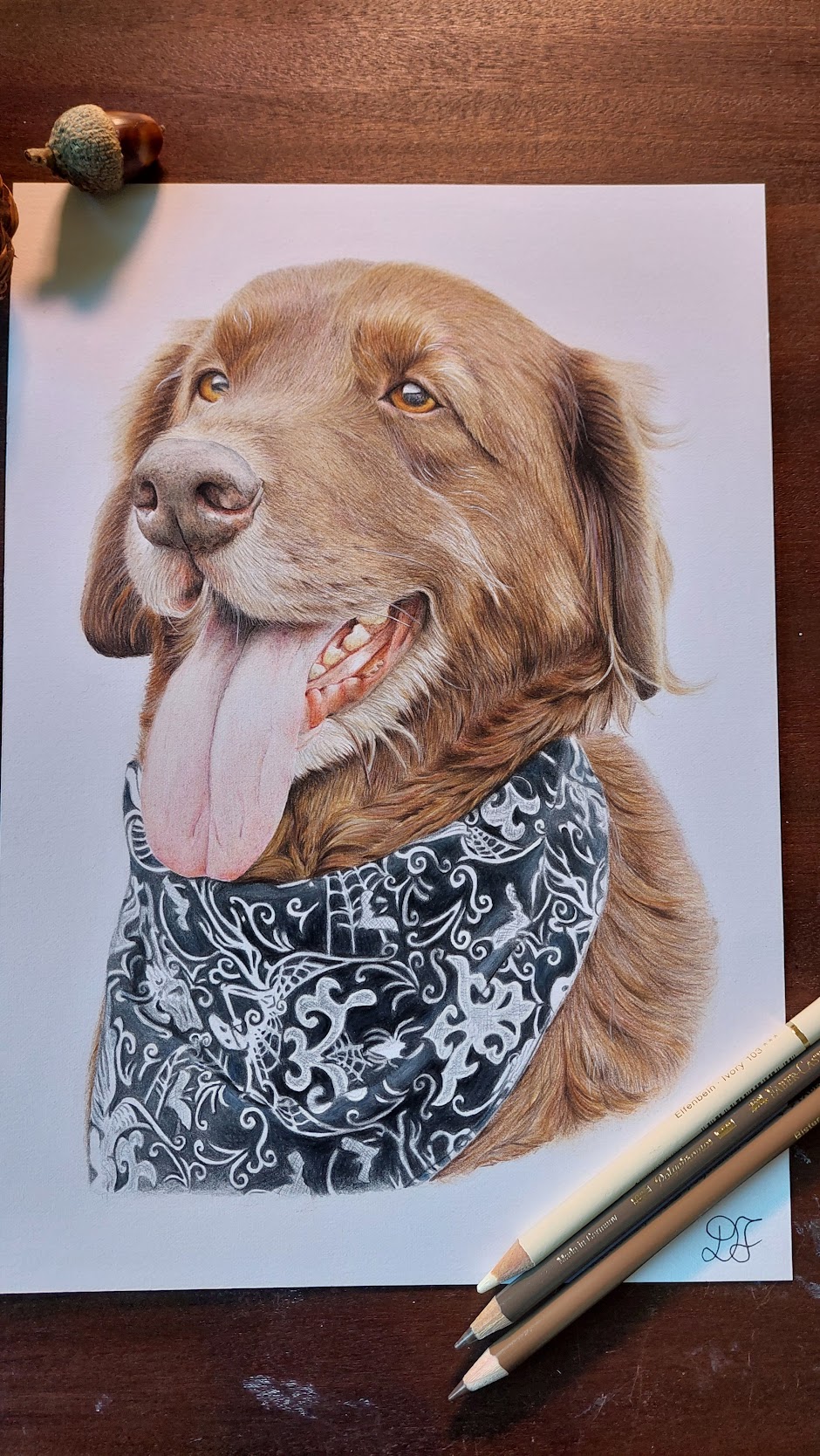 dog dogs realistdrawingdog art gallery artist pet realist portrait coloredpencils bestfriendforever furry paint print popart artwork realistportrait colourspencils bff gift