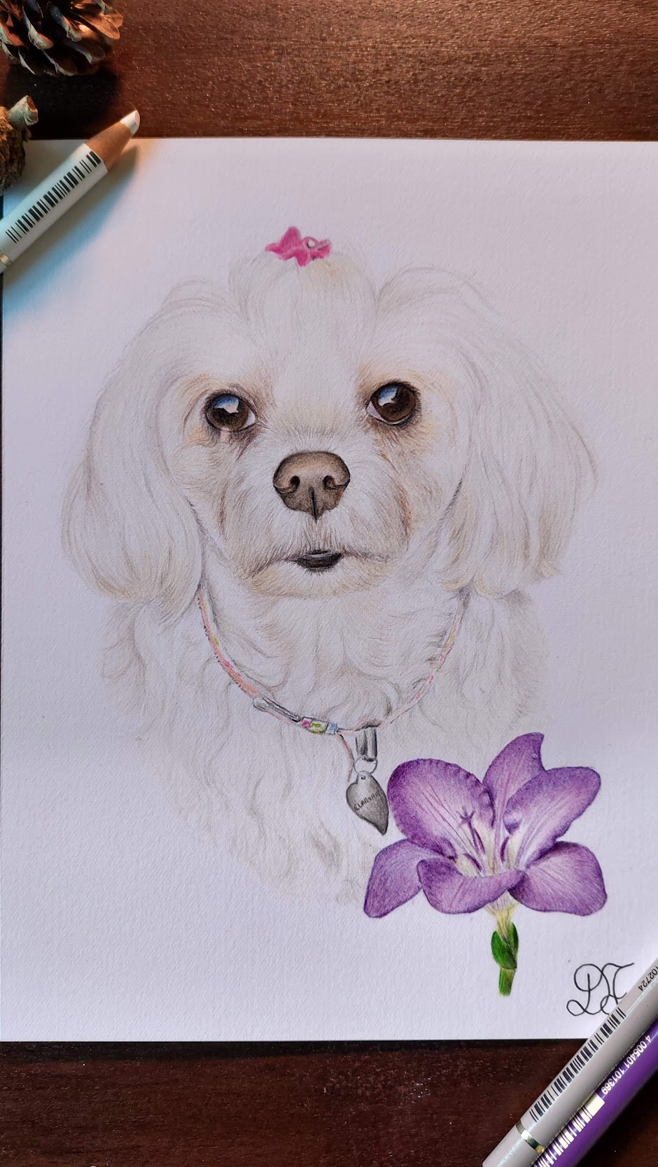 dog dogs realistdrawingdog art gallery artist pet realist portrait coloredpencils bestfriendforever furry paint print popart artwork realistportrait colourspencils bff gift