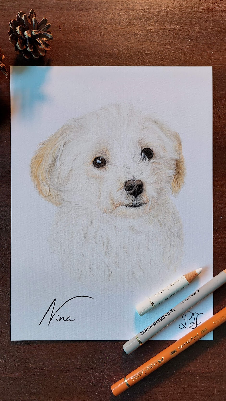 dog dogs realistdrawingdog art gallery artist pet realist portrait coloredpencils bestfriendforever furry paint print popart artwork realistportrait colourspencils bff gift