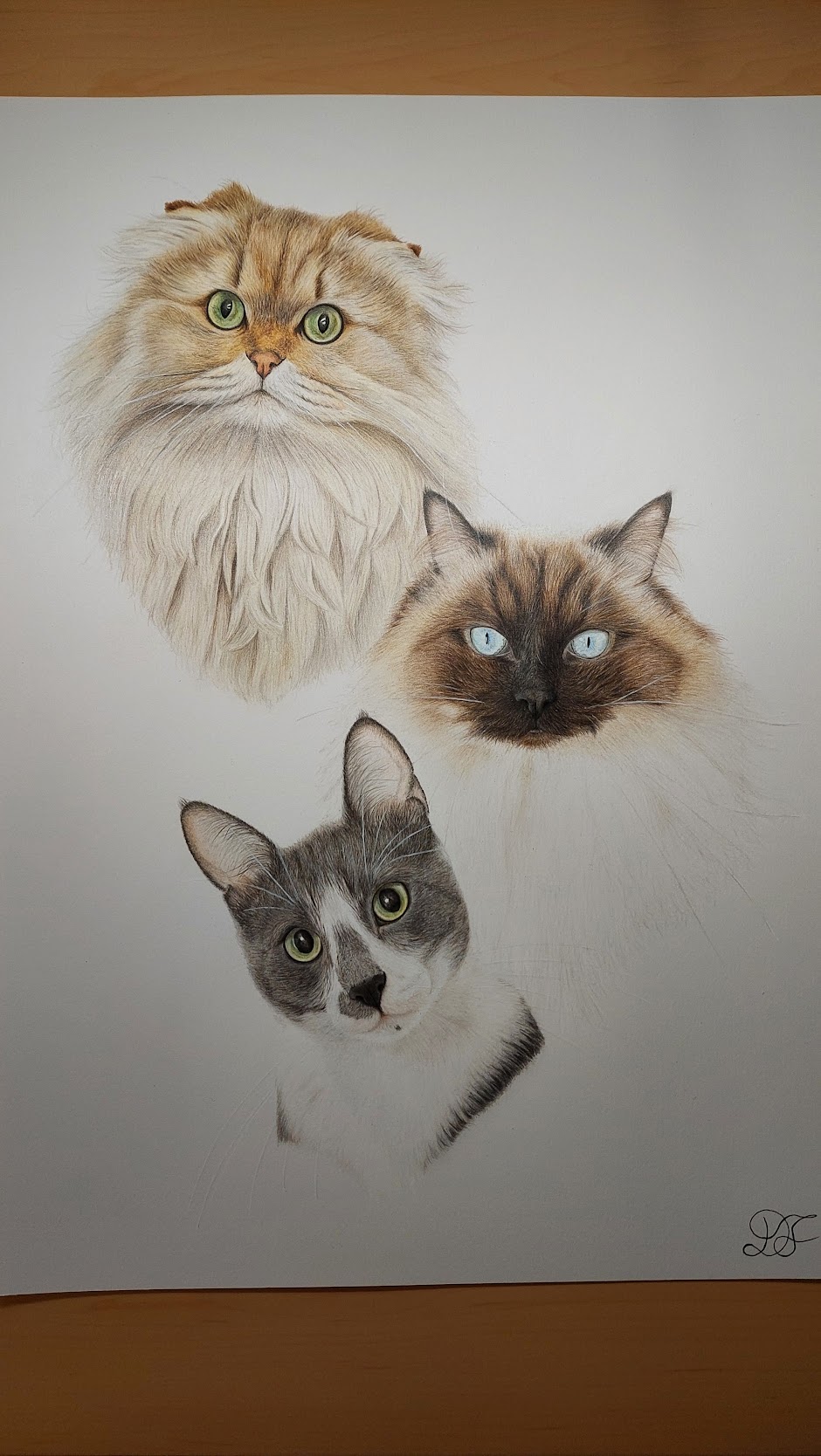 dog dogs realistdrawingdog art gallery artist pet realist portrait coloredpencils bestfriendforever furry paint print popart artwork realistportrait colourspencils bff gift