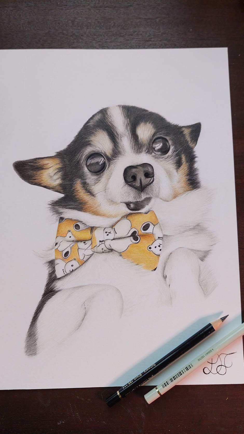 dog dogs realistdrawingdog art gallery artist pet realist portrait coloredpencils bestfriendforever furry paint print popart artwork realistportrait colourspencils bff gift