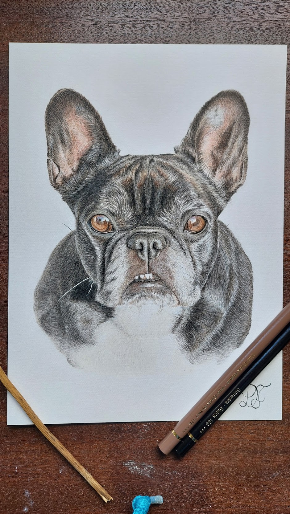 dog dogs realistdrawingdog art gallery artist pet realist portrait coloredpencils bestfriendforever furry paint print popart artwork realistportrait colourspencils bff gift