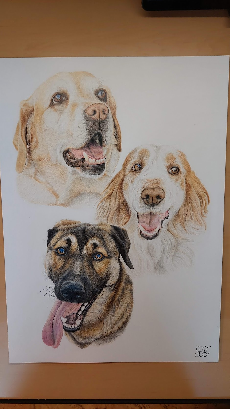 dog dogs realistdrawingdog art gallery artist pet realist portrait coloredpencils bestfriendforever furry paint print popart artwork realistportrait colourspencils bff gift